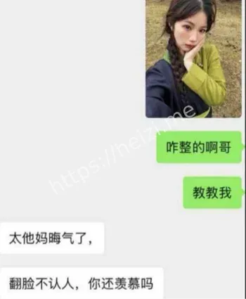 白兰鸽富哥视频